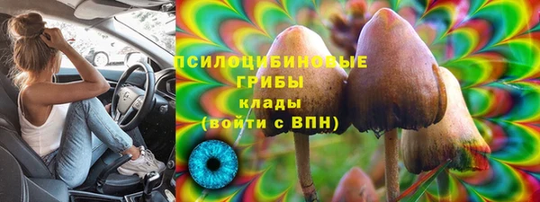 мдпв Мегион